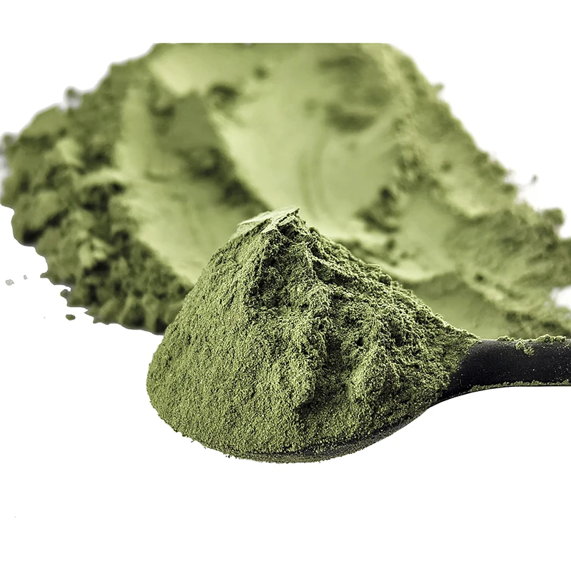 Bulk Supplier of Best Quality India Natural Henna Powder /black henna powder /henna for nails