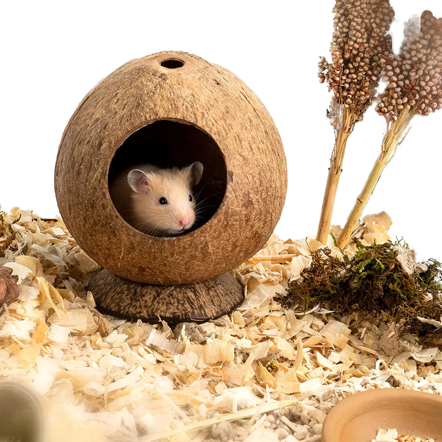 Hamster Wooden House Small House Parrot Cage Natural Handmade Coconut Shell Shelter Cave Vietnamese Coconut House