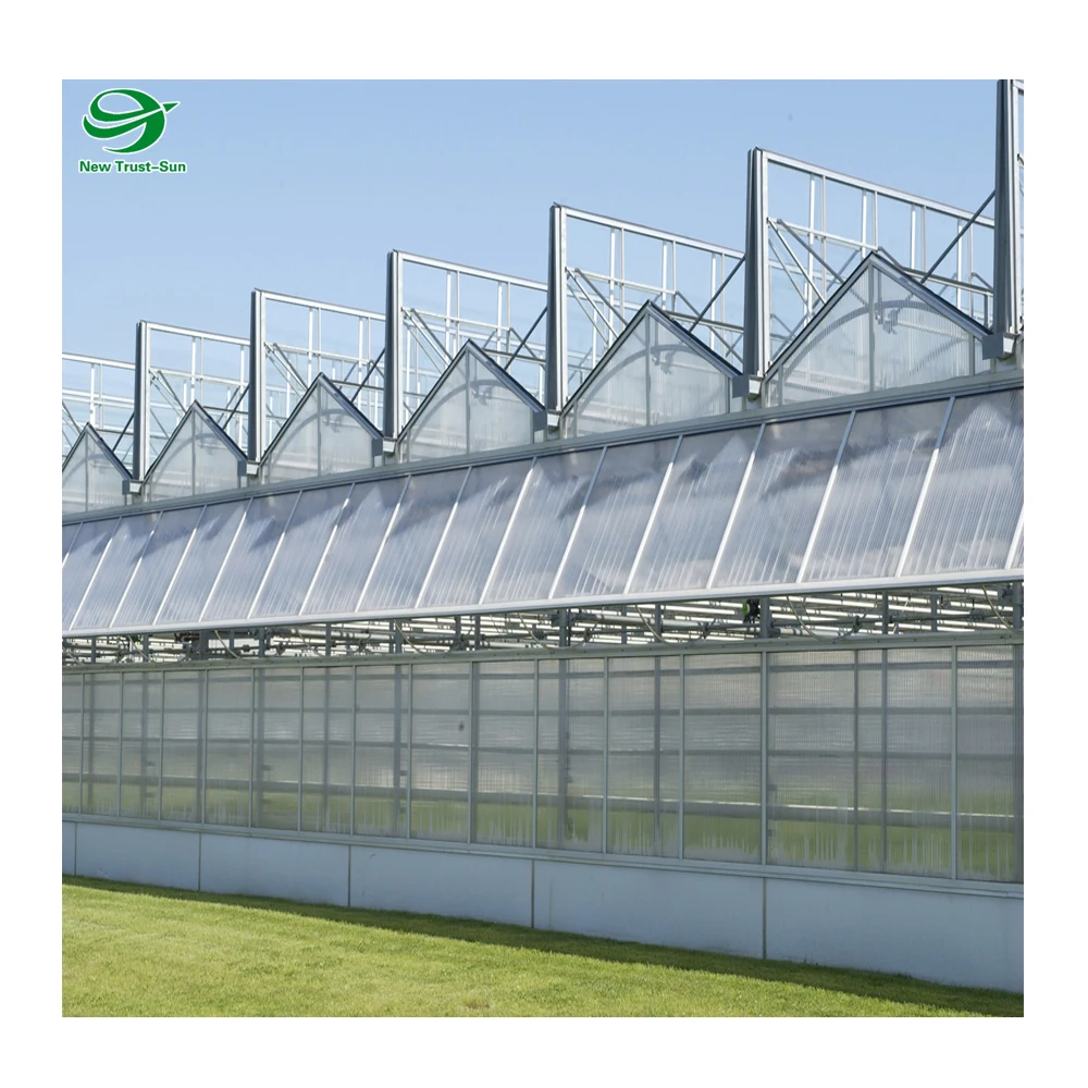 
Low Cost Nutrient Film Teechnique(NFT) Hydroponics for PC Polycarbonate Greenhouse 