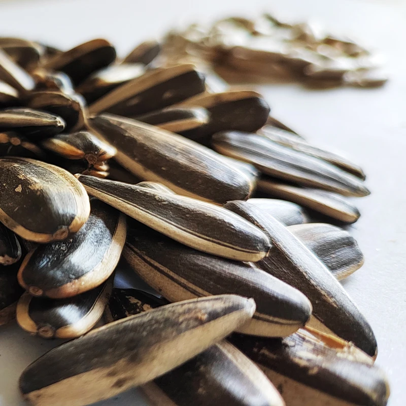 China Quality 363 Sunflower Seeds Sunflower Seed Supplier Fresh Sunflower Seeds Customizable Size
