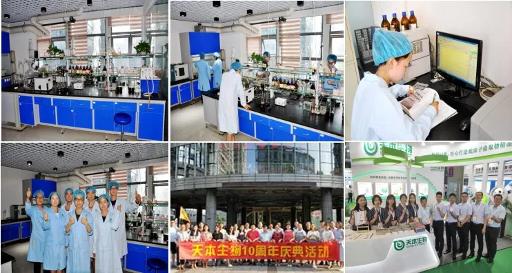 Effective Weight Loss Skinny Tea Tummy Detox Fast Slimming Natural Tea Extract Polyphenols Slim Tea