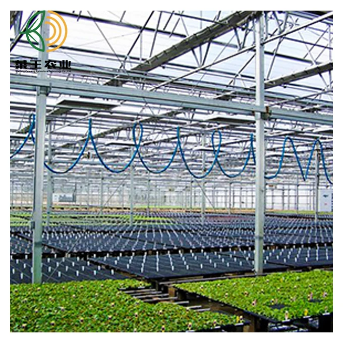  Agricultural Hydroponic Greenhouse Turnkey Project With Strong Frame