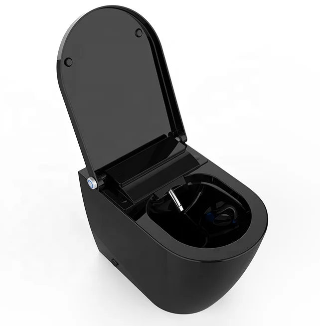 Luxury Black Smart Toilet Floor Mounted Intelligent Electric WC for Europe