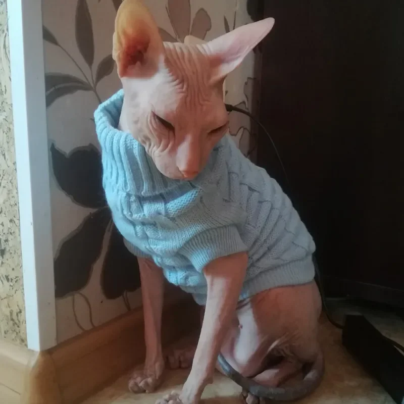Зимний вязаный свитер для кошек