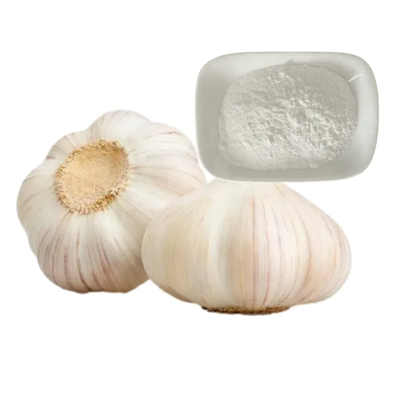 Natural Dehydrated Garlic Extract Powder Dry Garlic Powder