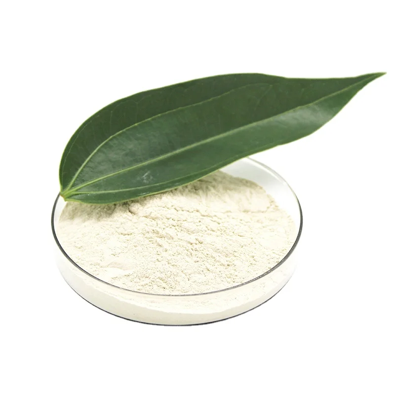 Probiotics lactobacillus casei for food ingredients from China factory freeze-dried probiotics powder original manufacturer