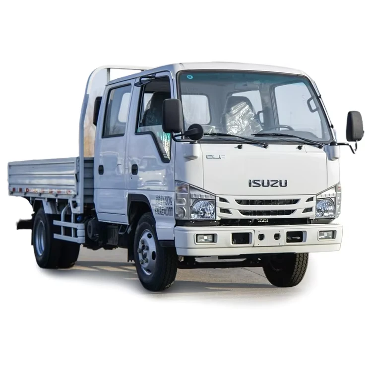 Isuzu NPR 100P Diesel 4X2 Double Cab Light Duty Cargo Van Factory Price on Sale Used Condition