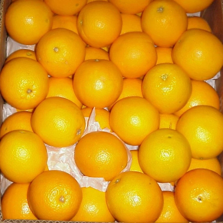  Навелат