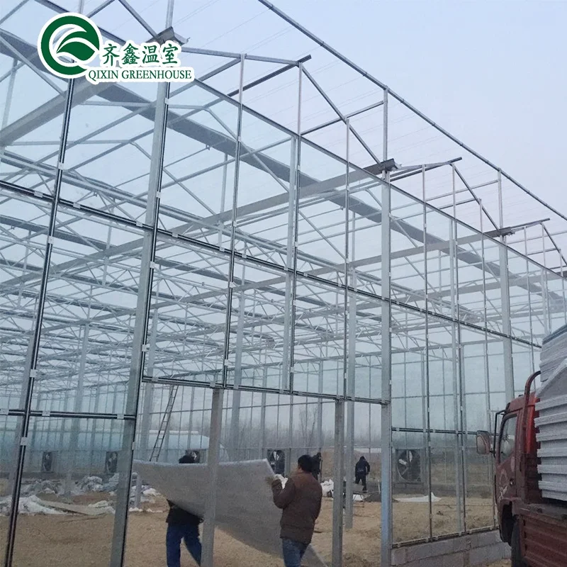 venlo pc  sheet Galvanized Steel Pipe Greenhouse with aeroponic system