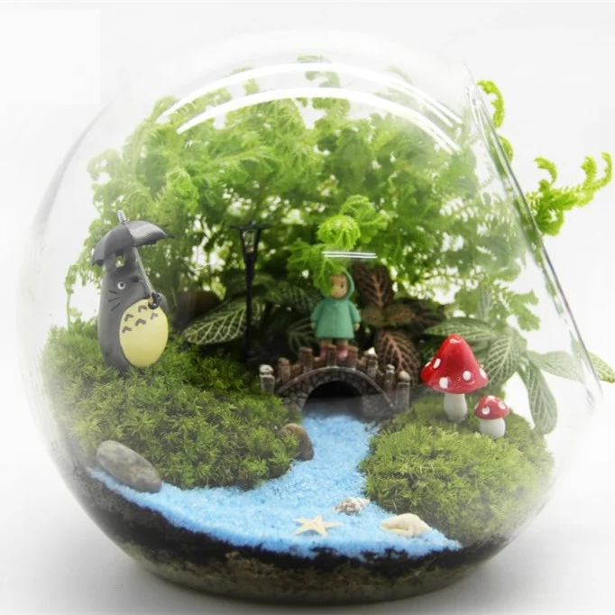 Moss DIY vase round oblique glass bottle micro landscape ecological bottle succulent plant moss bottle