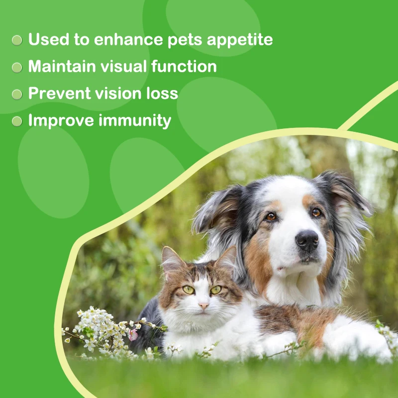 Cat prevent cough relief anti cough liquid lysine liquid feed supplement