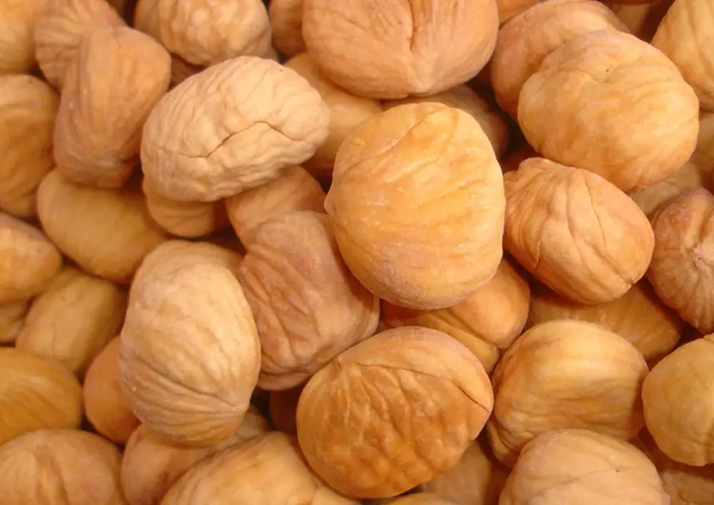 Frozen Fresh Sweet Roasted Chestnuts Whole Snack Food Frozen Chestnuts Price With factory best