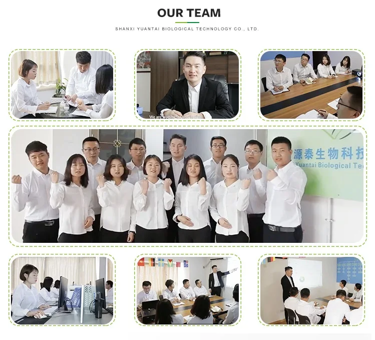 
Hot sale food additive with lowest price calcium citrate 