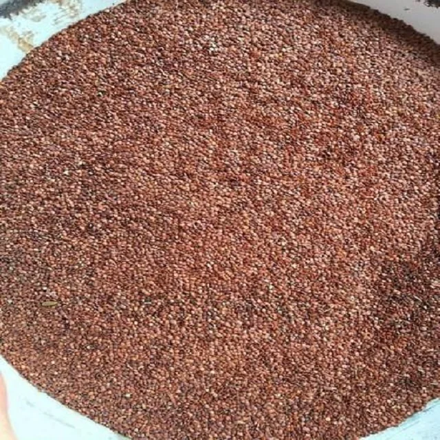 Best Price Mimosa Pudica Fruits Powder From India