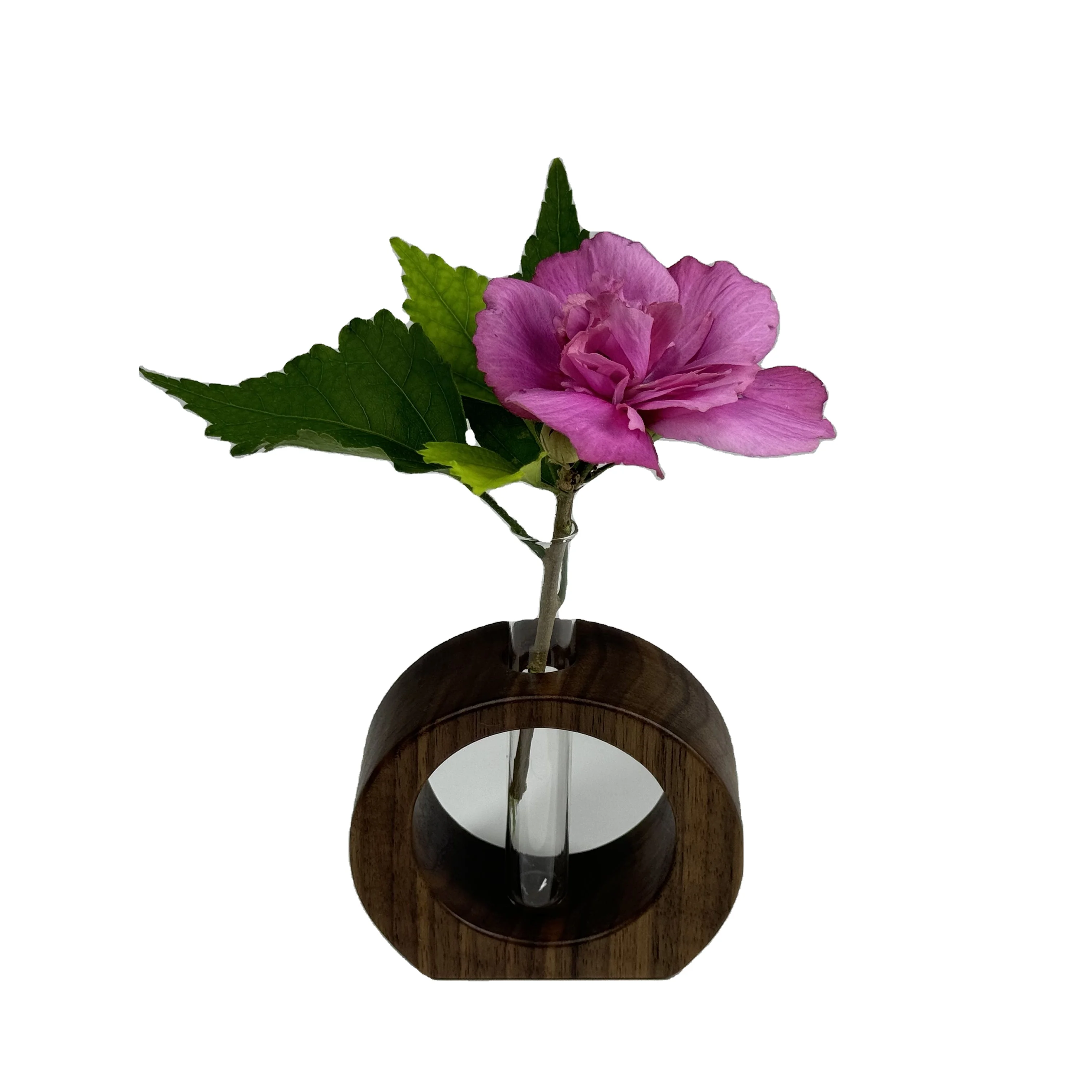 Modern Wooden Table Top Flower Vase Glass Test tube Design Indoor Office Desk Plant Pots Wholesale Top Quality Centre Planter