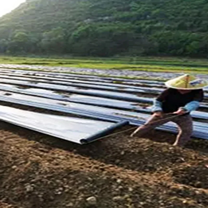OEM custom processing agricultural mulching film color plastic mulch plastic mulch layer
