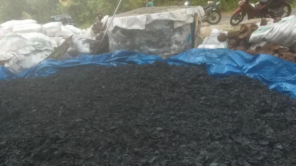 
Indonesia 100% Coconut Shell Charcoal Use For Coconut Shell Charcoal Briquette 