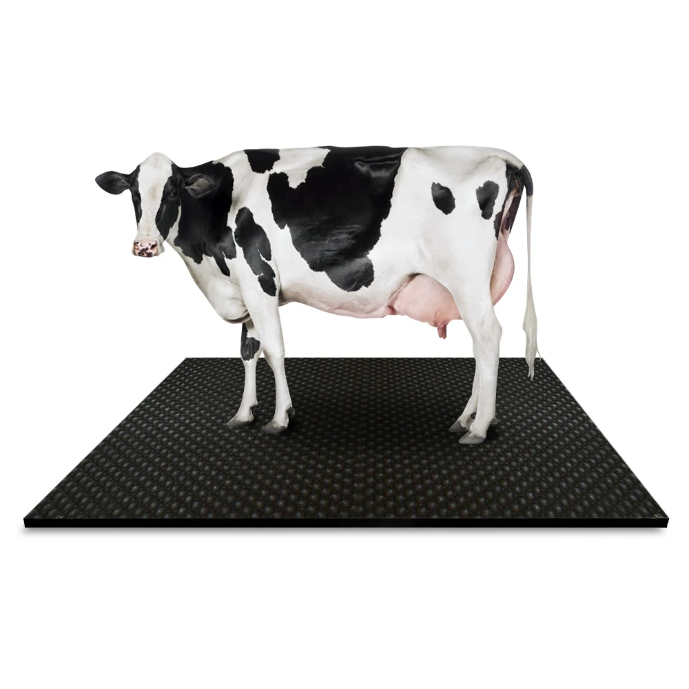 Custom 24mm 34mm Eva foam Comfort Puzzled Interlocking cow mat