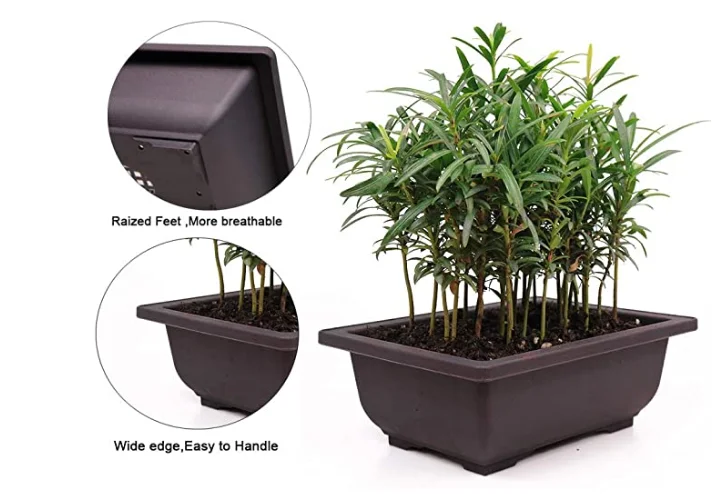 factory wholesale cheap pot plastic flower pots bonsai pot and tray