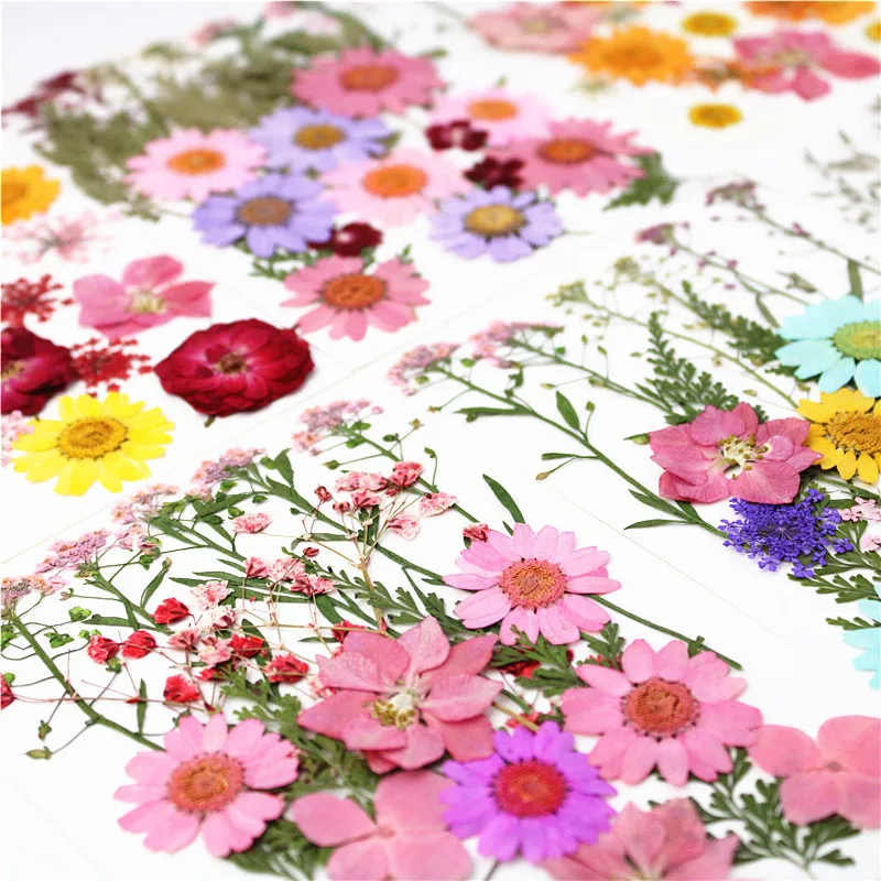 Pressed Flowers Plants for Resin molds Real Dried Flower Leaves for Resin Jewelry Making Dry Flowers for Scrapbooking Crafts