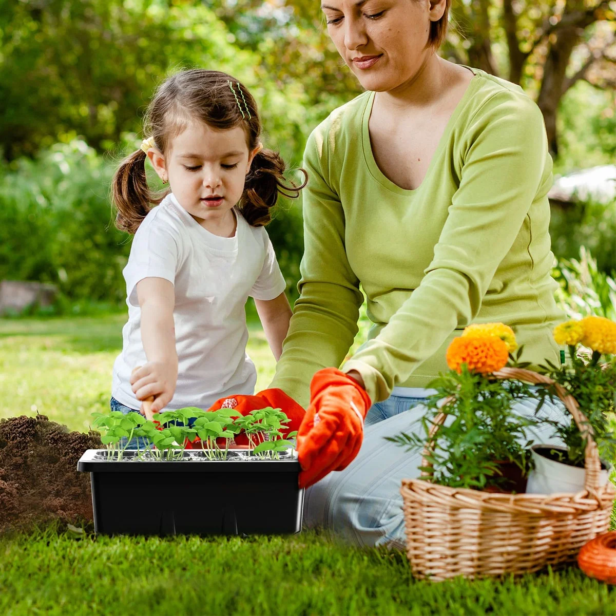 12 Cells Seedling Starter Tray Germination Grow Box with Humidity Dome Seed Starting Trays Plant Starter Kit and Base