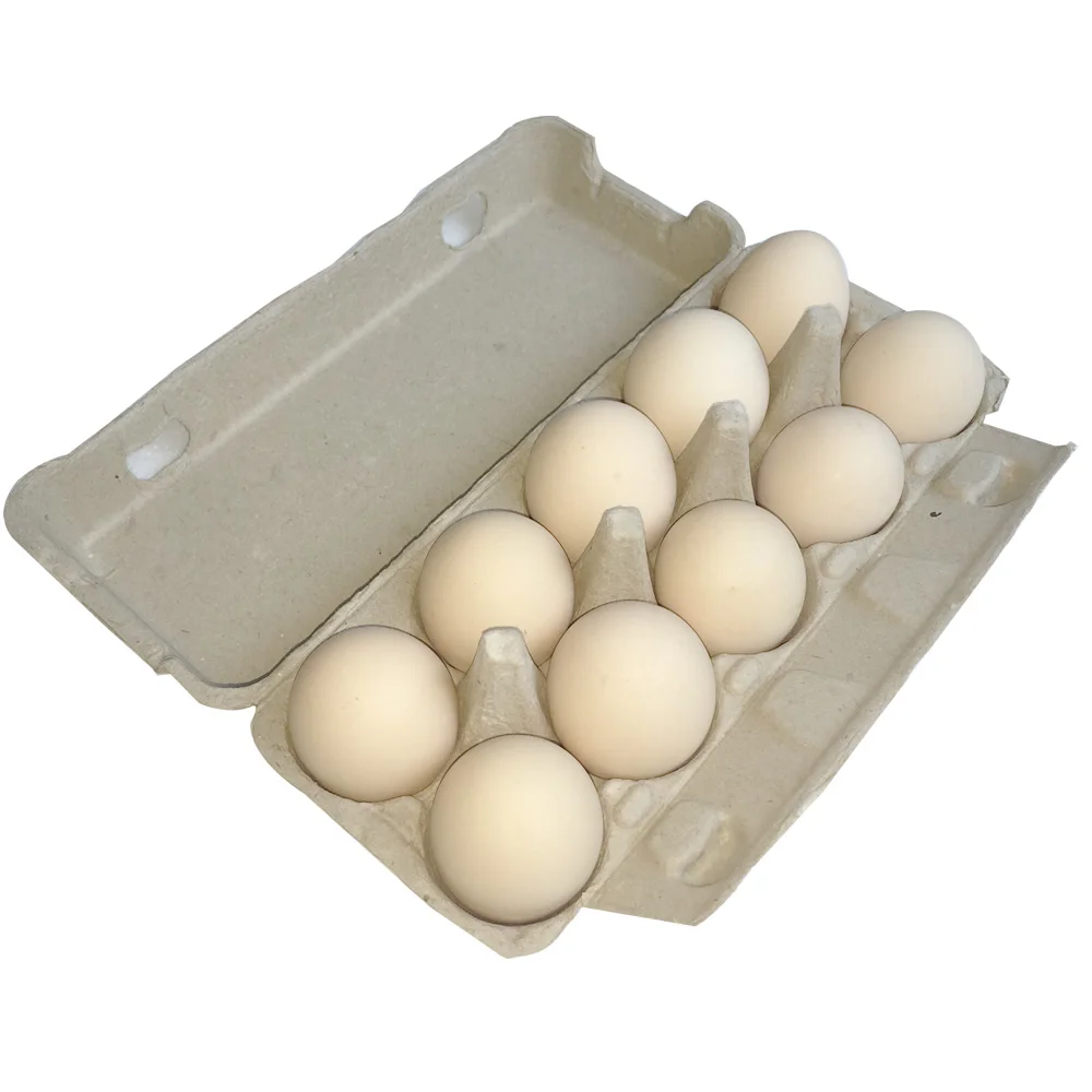 Egg trays chicken eggs box paper pulp egg carton