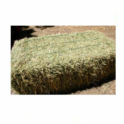 Factory Price Premium Quality Alfalfa Hay for Animal Feeding Stuff Alfafa Bales