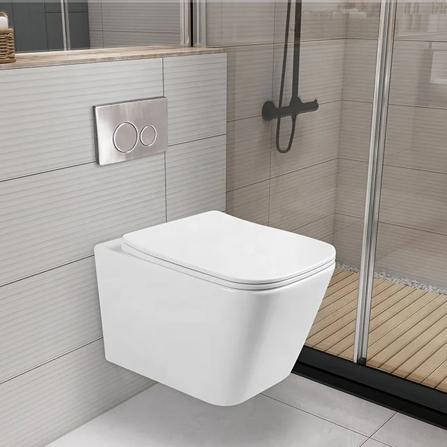 
F 8205 High quality Wall mounted toilet square bowl ceramic sanitary rimless for European market  (1600158220700)