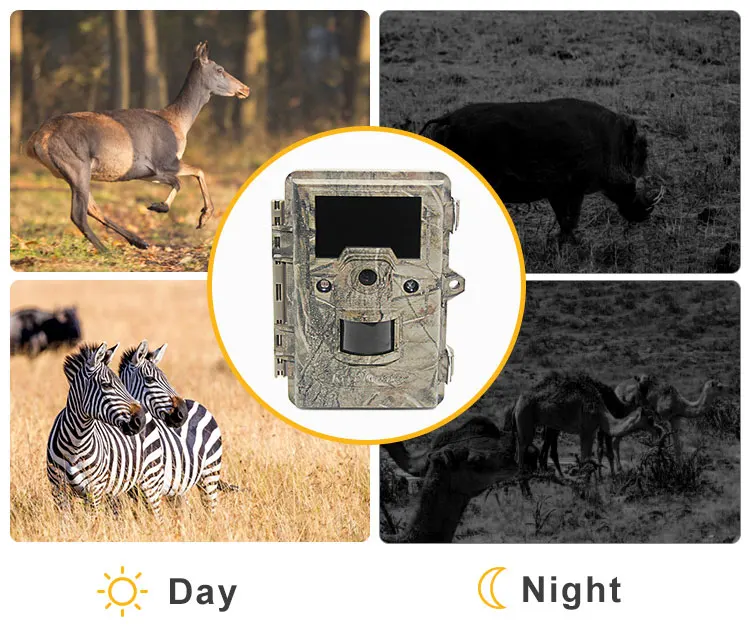 KG762 Trap Imagimg Scouting Night Vision Game 20Mp Wildcamera Trail Camera for Hunting
