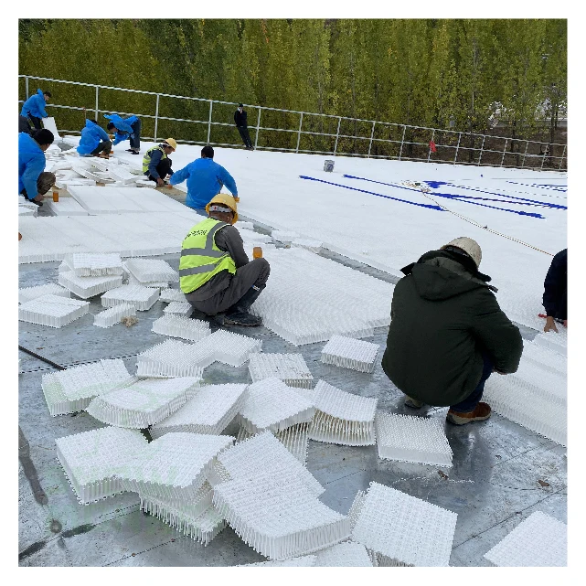 High quality SNOW MONKEY artificial ski surfacedry slope surface dry ski slope snow