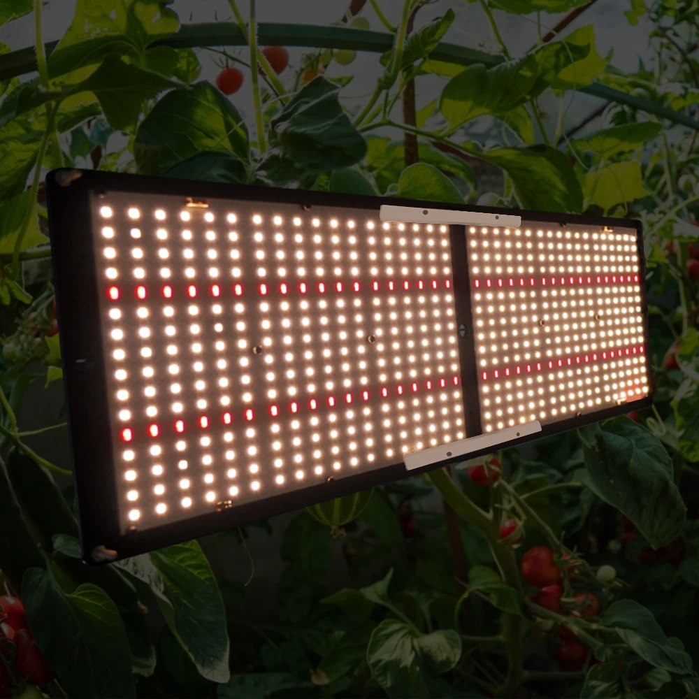Shenzhen Meijiu Lighting Samsung 301H Samsung Grow Light, Novedades Chinas Lm301H 240W Led Grow Light Hydroponic