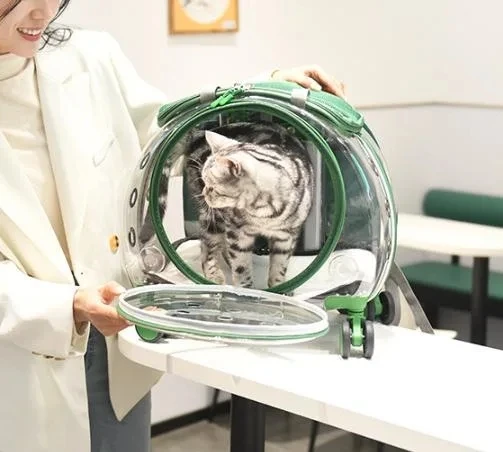 Customizable Logo Medium XL XXL Transport Backpacks Cats Dogs Oxford Fiber Material Zipper Durable Pet Carriers Small Animals