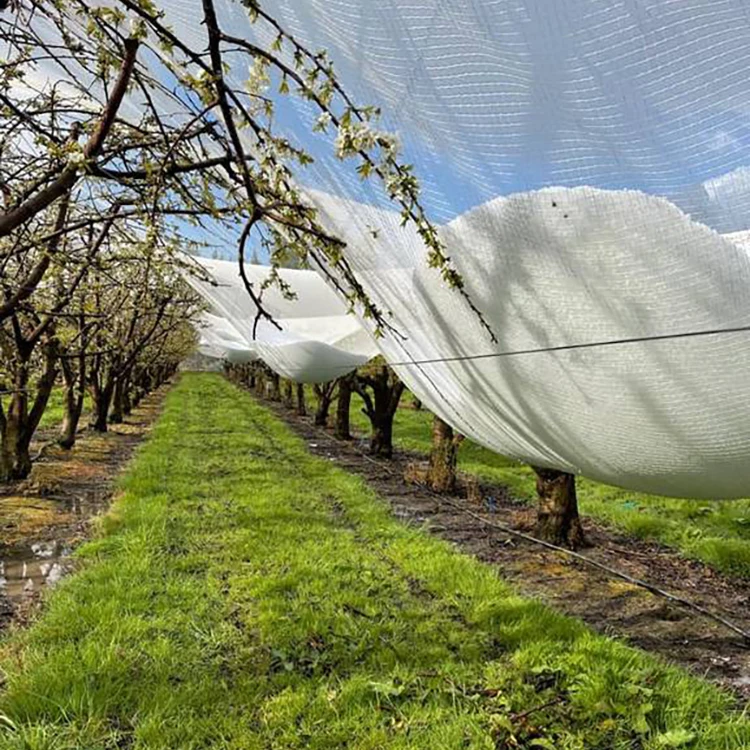 China Direct Sale Roll 100 100% Virgin Greenhouse System Plants Orchards Cherries Wineyard Netting Anti Hail Net
