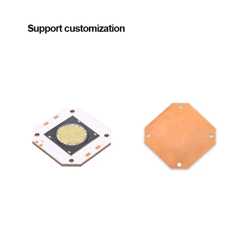 Factory Wholesale 600W Dual-Color Temperature COB LED Module Lamp Beads High Brightness High CRI 95+ for Photography Fill Light