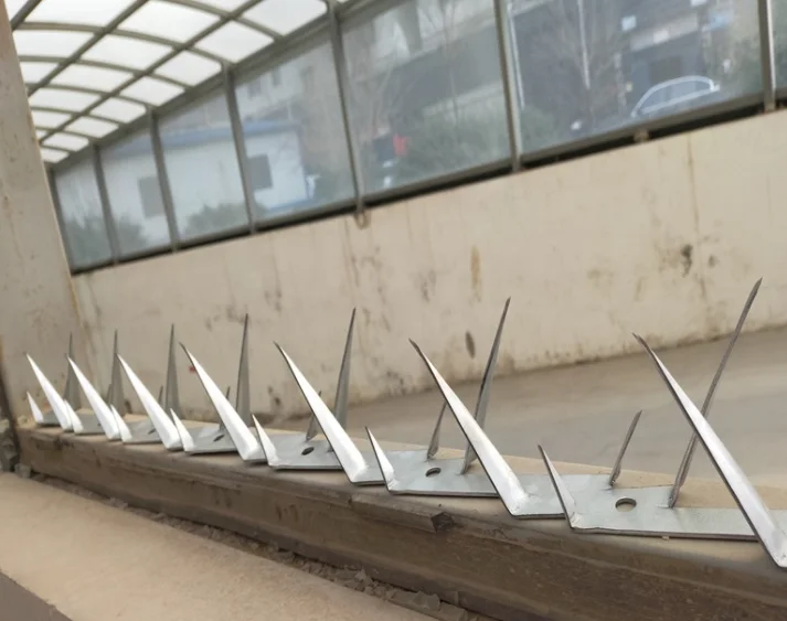 Animol control deterrent anti Climb Strips plastic thorn bird spike for pigeon hot dipped galvanized material