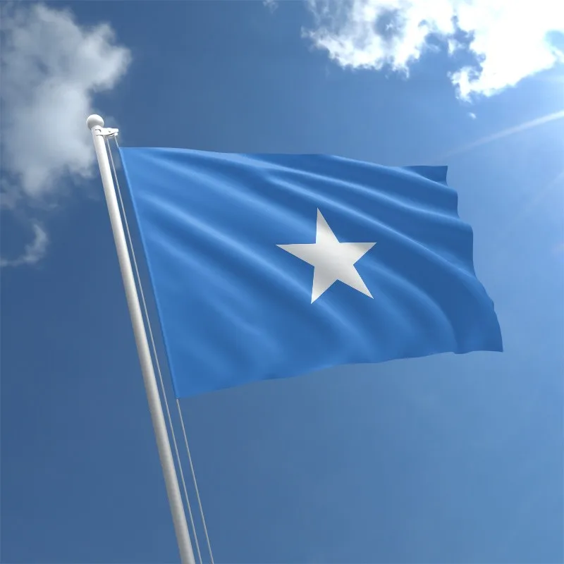 HUI FENG wholesale country cheap advertising Somalia flag National flag