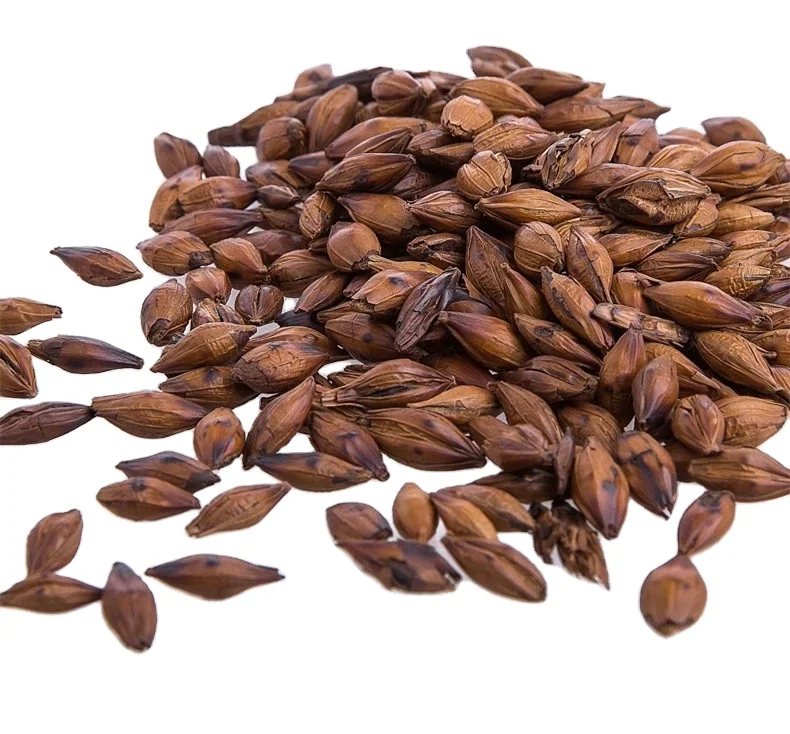 Roasted Barley Grain Tea Stir-fried Barley Malt Tea Health Grain Drink Barley Tea