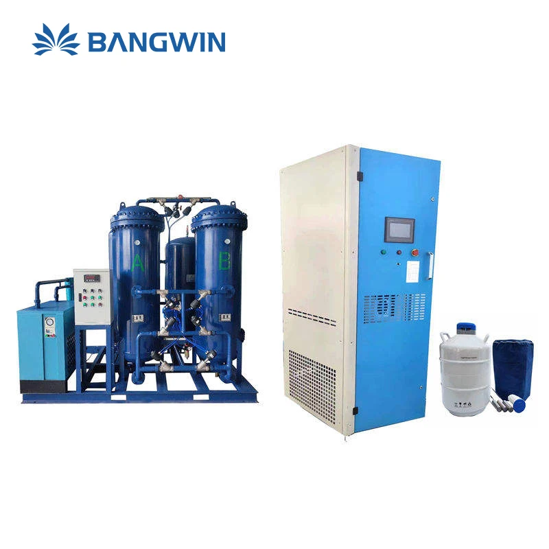 BW Factory Price 30L/hr Small Liquid Nitrogen Plant Ln2 Generator Liquid Nitrogen Machine