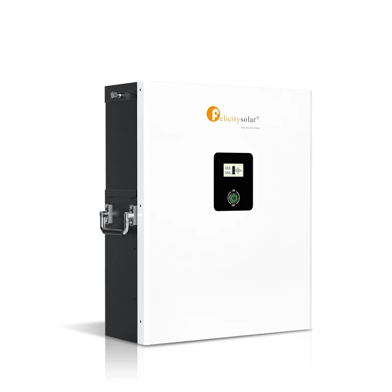 felicity solar system 5KWH solar energy storage lithium battery 51.2v LifePO4 Lithium Battery Pack