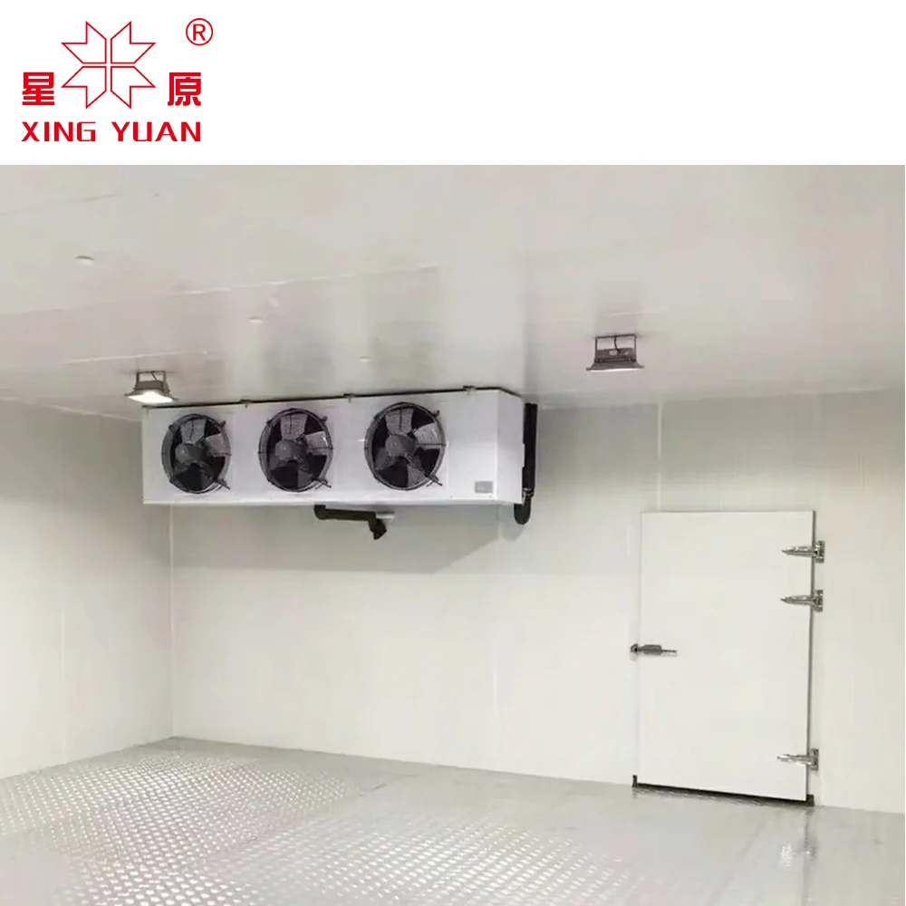-18/-25c Walk In Cooler Freezer cold room Eps Sandwich Panel For Fish Meat