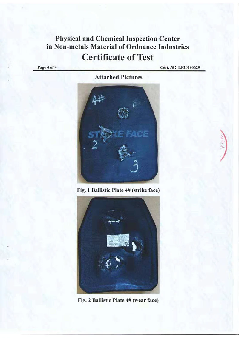 SM-4EC STA Test Report-6.jpg