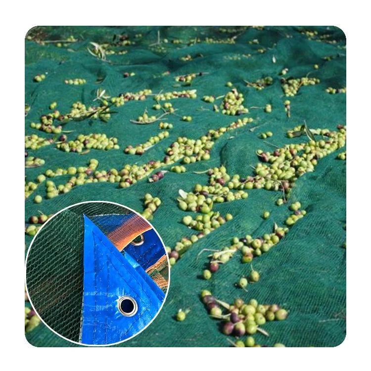 China 70gsm HDPE olive harvesting  olive collect nets
