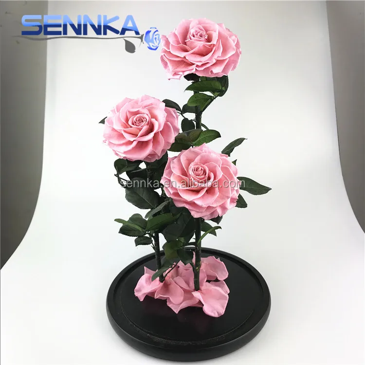 Three Big Preserved Flowers Roses in Glass dome Wedding Decoration
