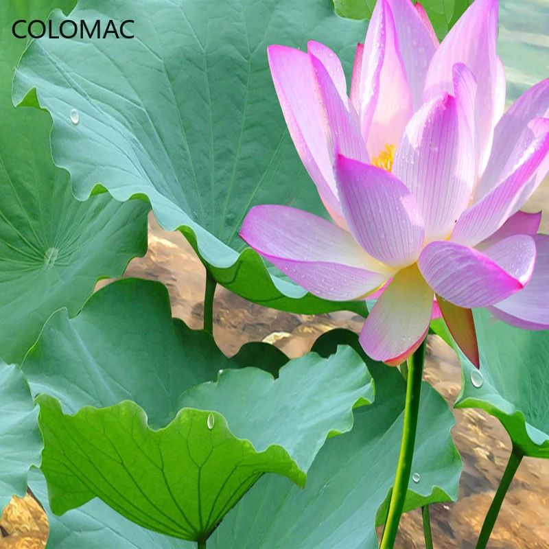 Custom Photo Wall Paper 3D Stereoscopic Waterfall Landscape Painting Living Room Sofa TV Background Peel and Stick Wallpaper