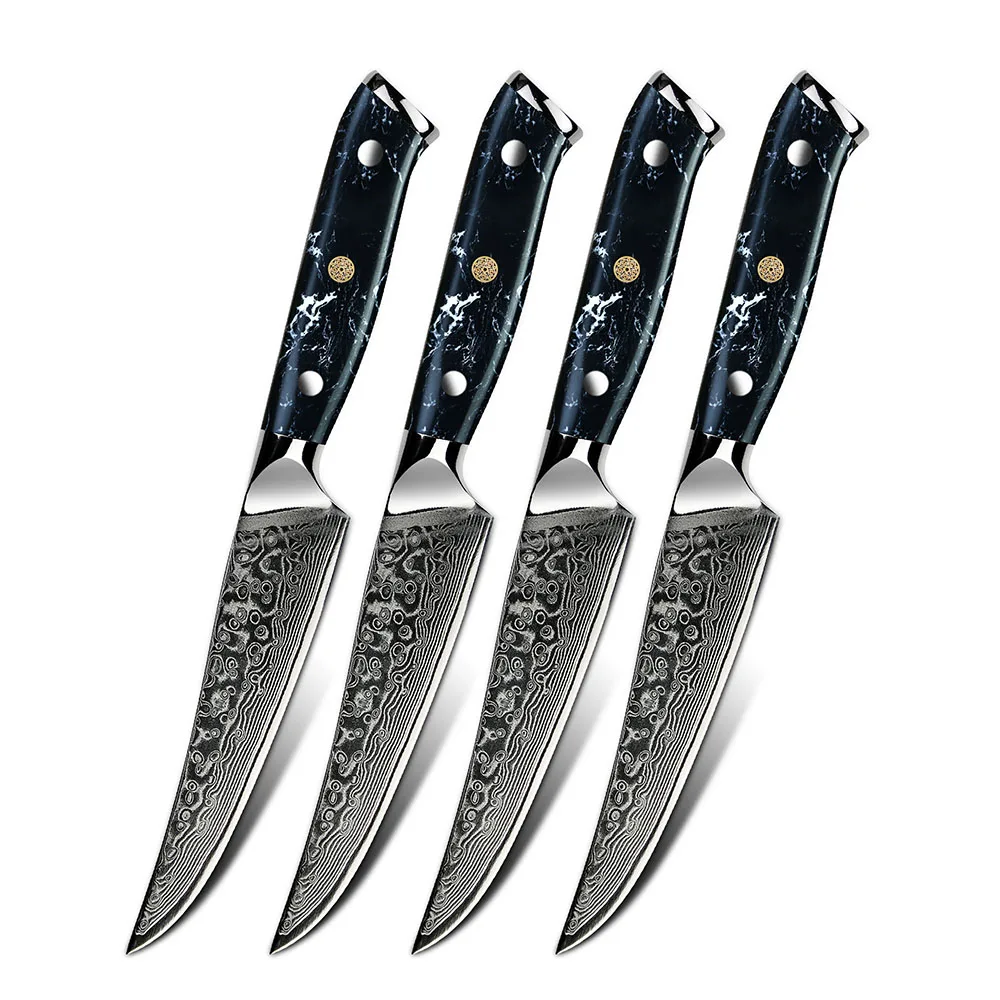 4 pcs Turquoise black Stone Handle Damascus Steel Kitchen steak Knife set