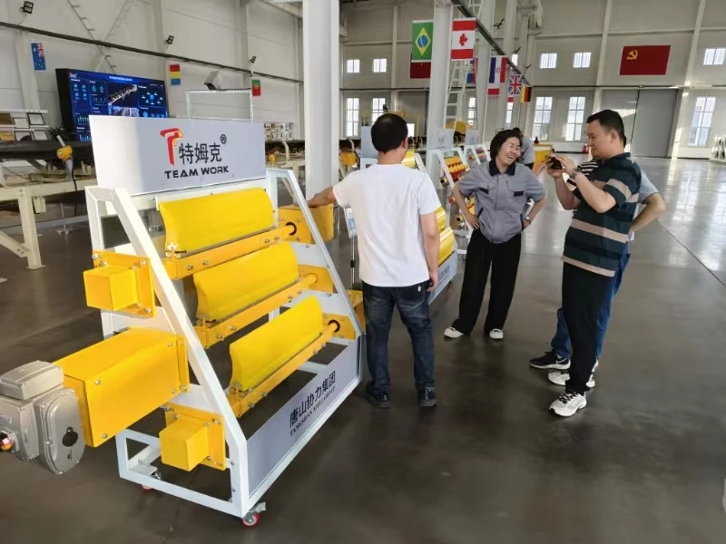 30 Inch Poly Urethane Conveyor Belt Cleaner PU Primary Belt Scraper