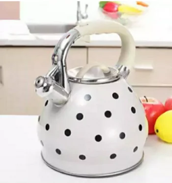 3L Stainless Steel Whistling Kettle for Teas and Coffee