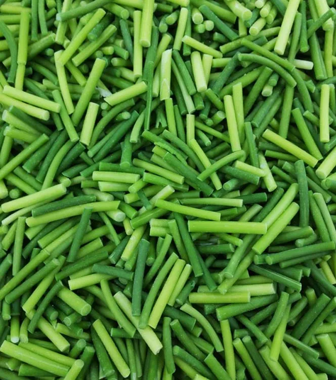 Chinese professional manufacturer frozen garlic Sprouts