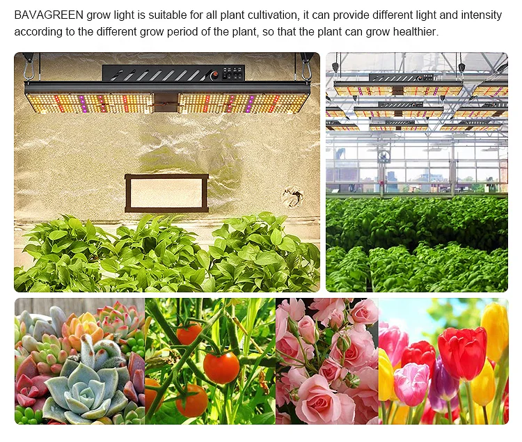 Bava dropship 240w  sun light led 660nm mix full spectrum Seoul 30 plant grow lighting grow light with separate uv switch