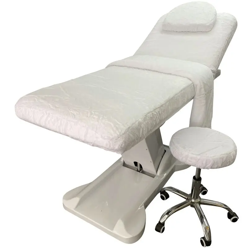 Modern Massage Lash Table Cosmetic Spa Bed Electric 2 Motor Facial Beauty Massage Bed